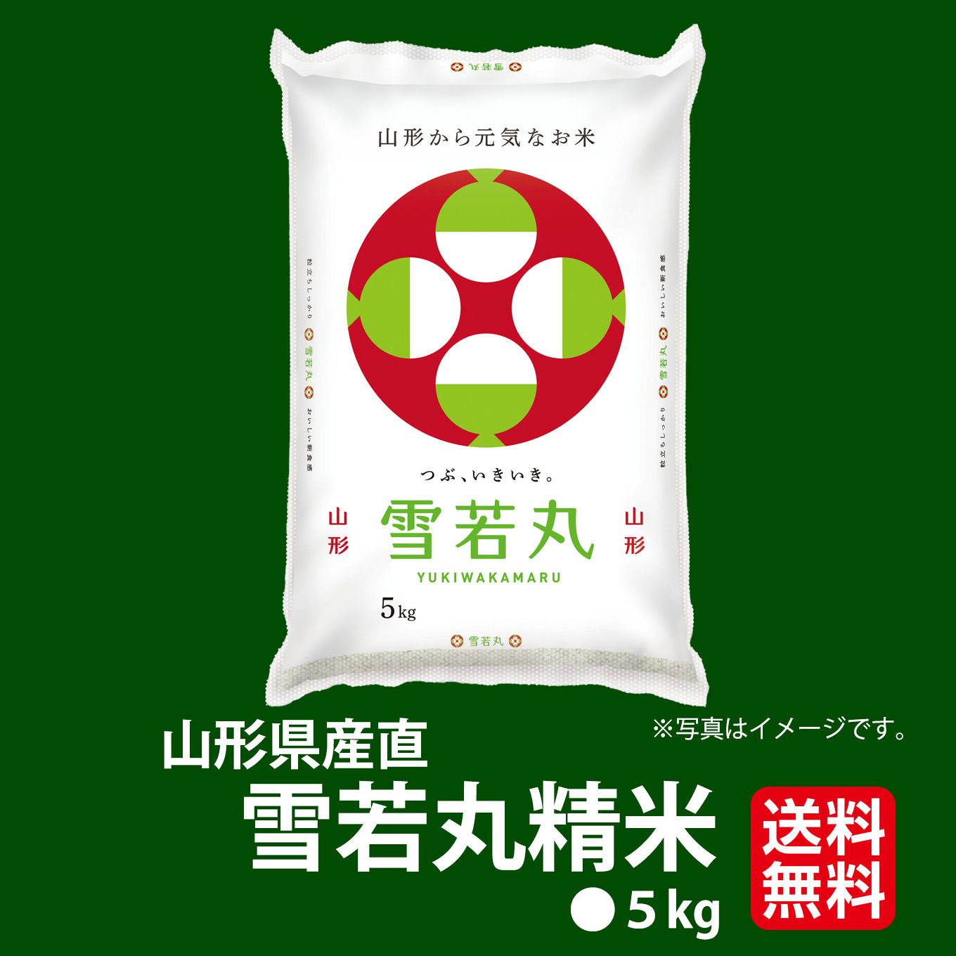 山形県産　雪若丸精米　5ｋｇ【送料無料】