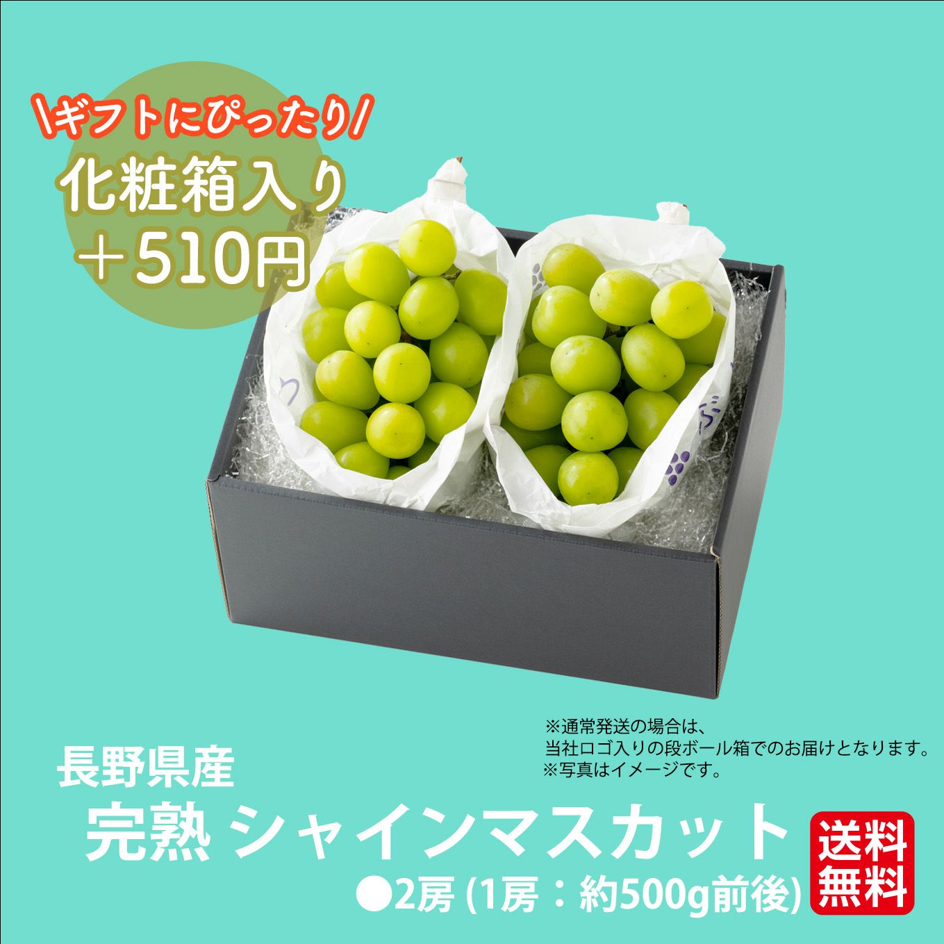 完熟 シャインマスカット　２房（1房：500ｇ前後） 【送料無料】