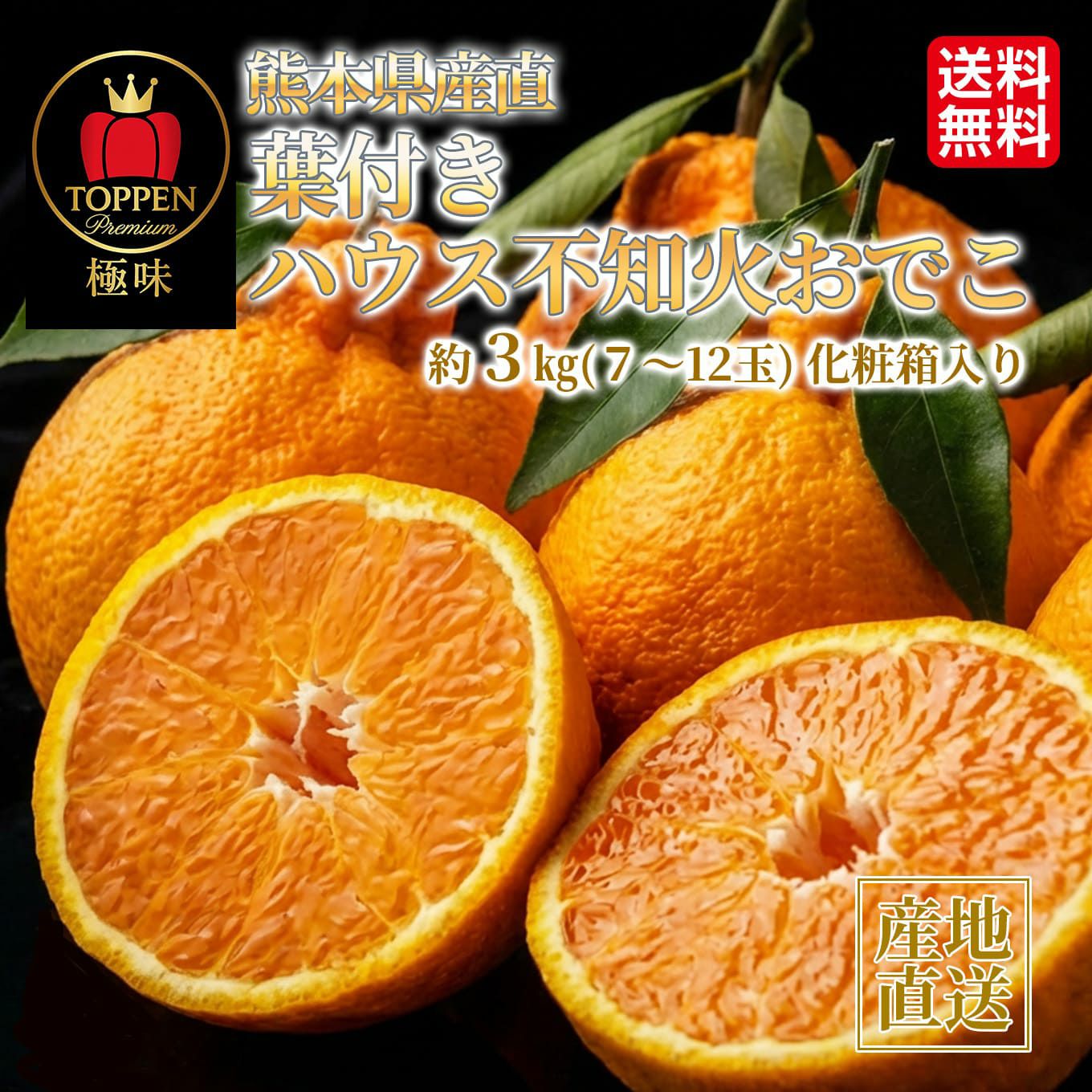 《極味シリーズ》熊本県産直 葉付きハウス不知火おでこ　約３kg（７～12玉）【送料無料】