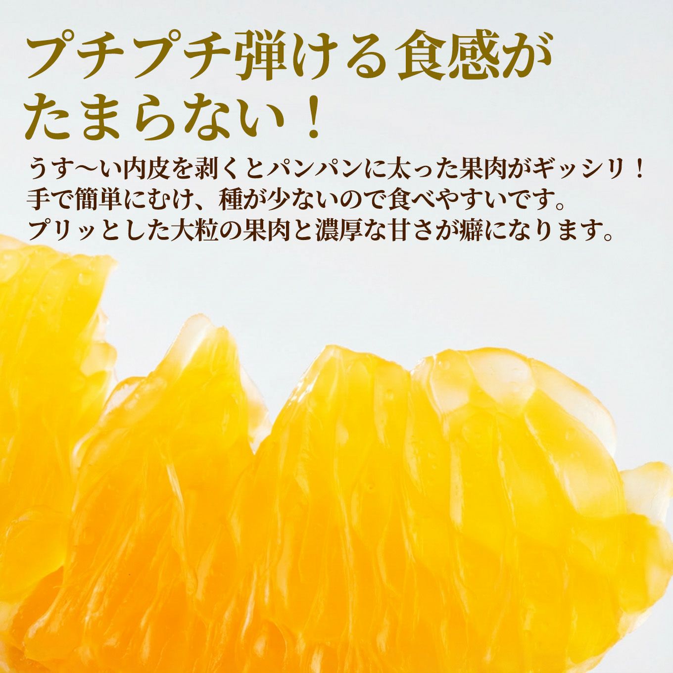 《極味シリーズ》熊本県産直 葉付きハウス不知火おでこ　約３kg（７～12玉）【送料無料】