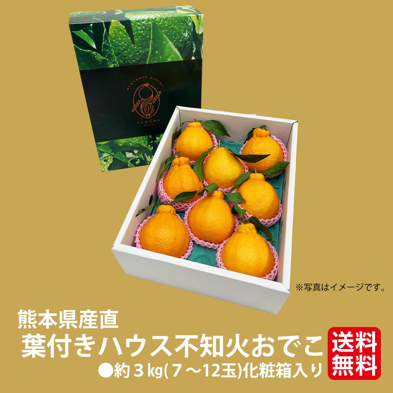 《極味シリーズ》熊本県産直 葉付きハウス不知火おでこ　約３kg（７～12玉）【送料無料】