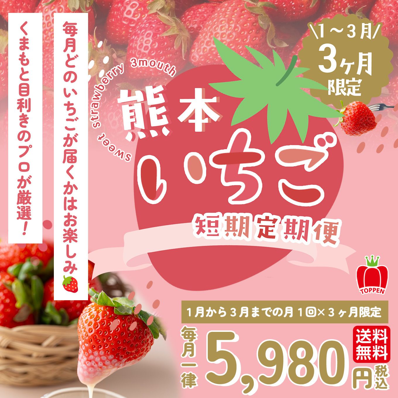  熊本いちご短期定期便（１～３月限定/月1回お届け 価格は毎月一律）【送料無料】
