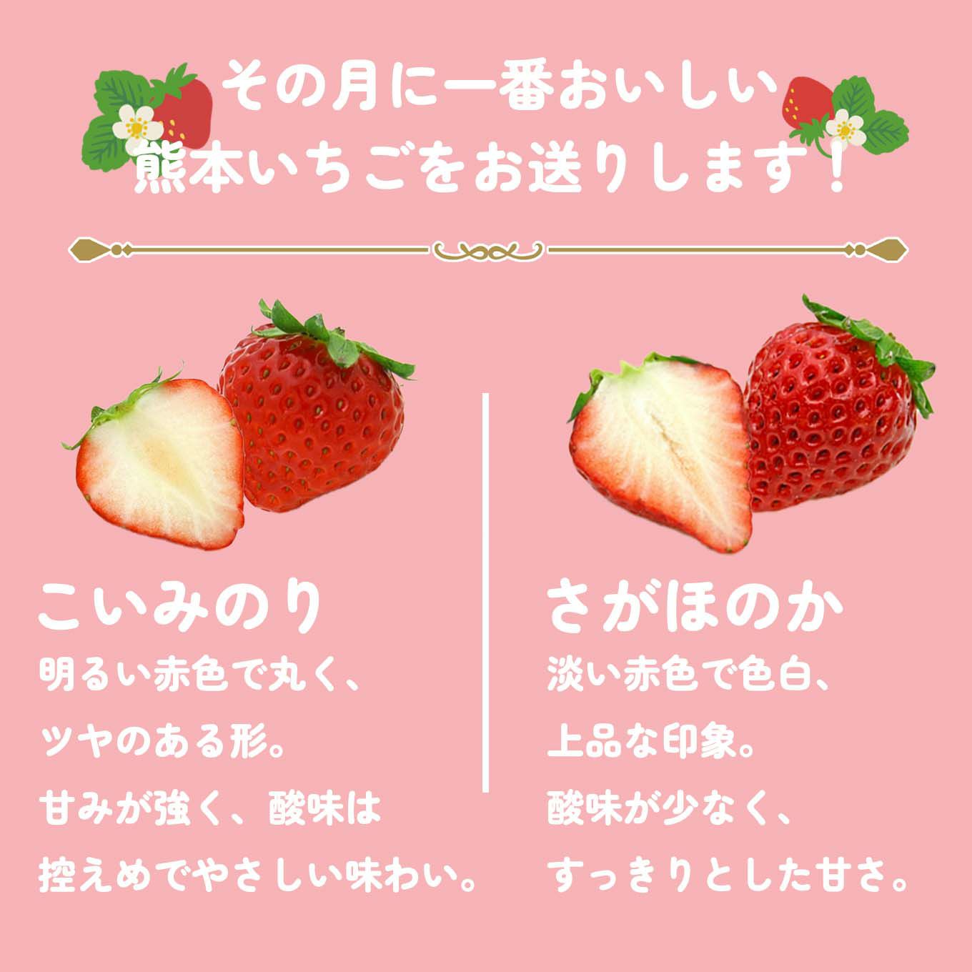  熊本いちご短期定期便（１～３月限定/月1回お届け 価格は毎月一律）【送料無料】