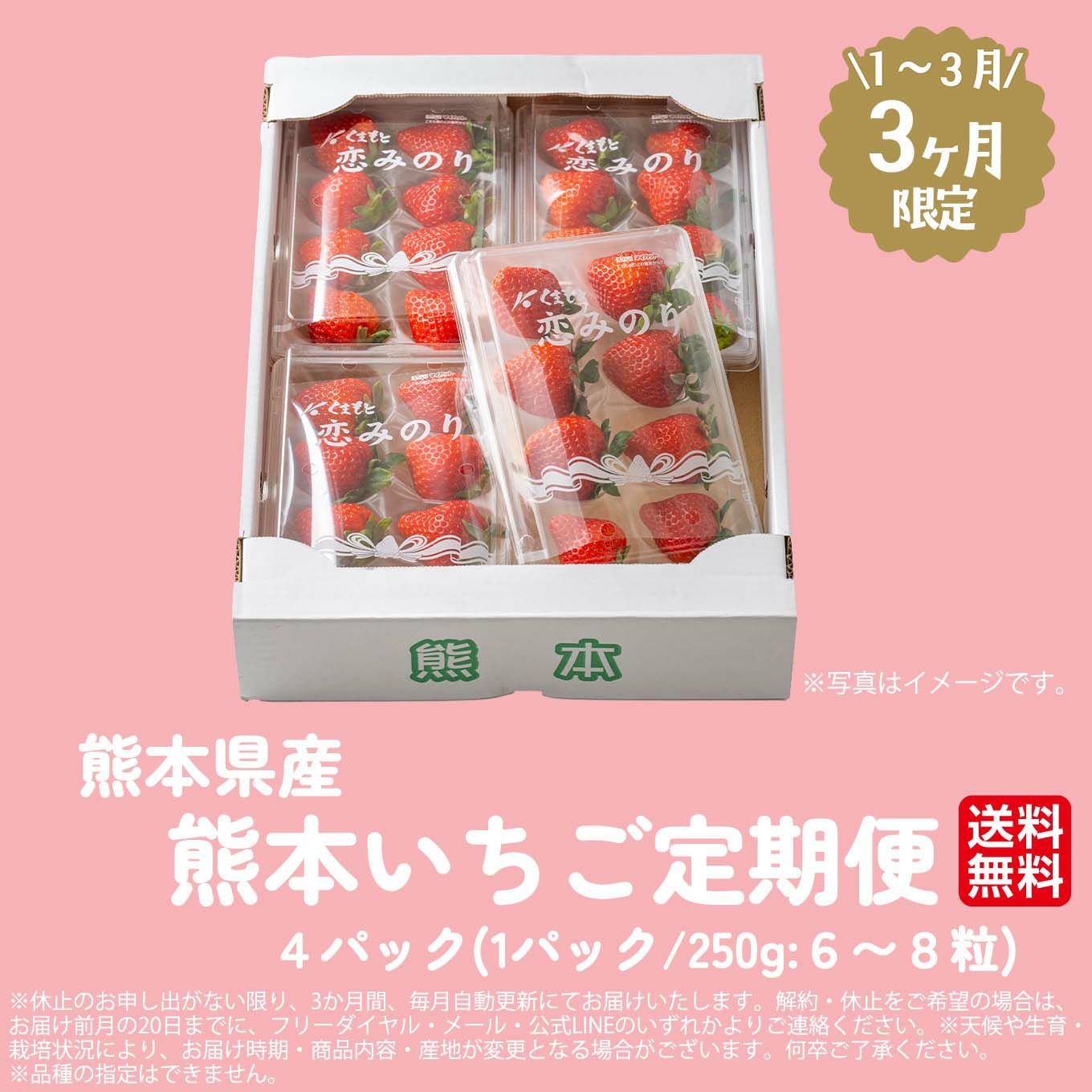  熊本いちご短期定期便（１～３月限定/月1回お届け 価格は毎月一律）【送料無料】