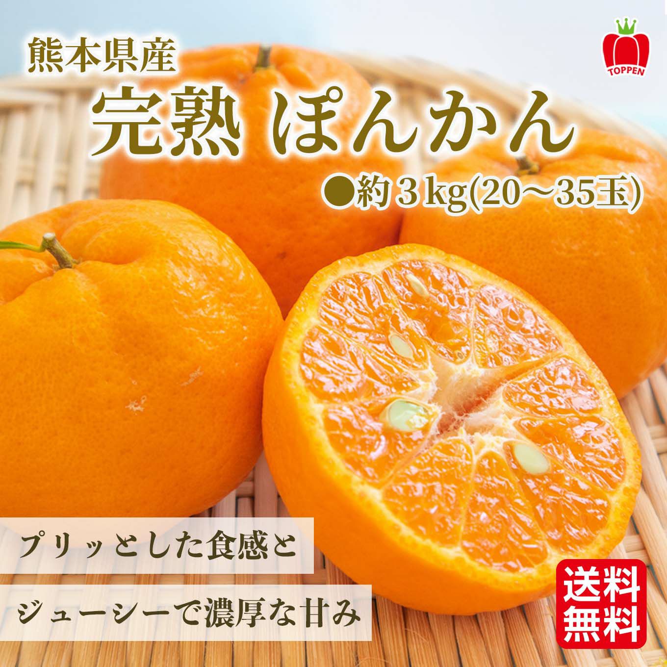 熊本県産 完熟ぽんかん 約3kg（20～35玉入）【送料無料】 - とっぺん市場