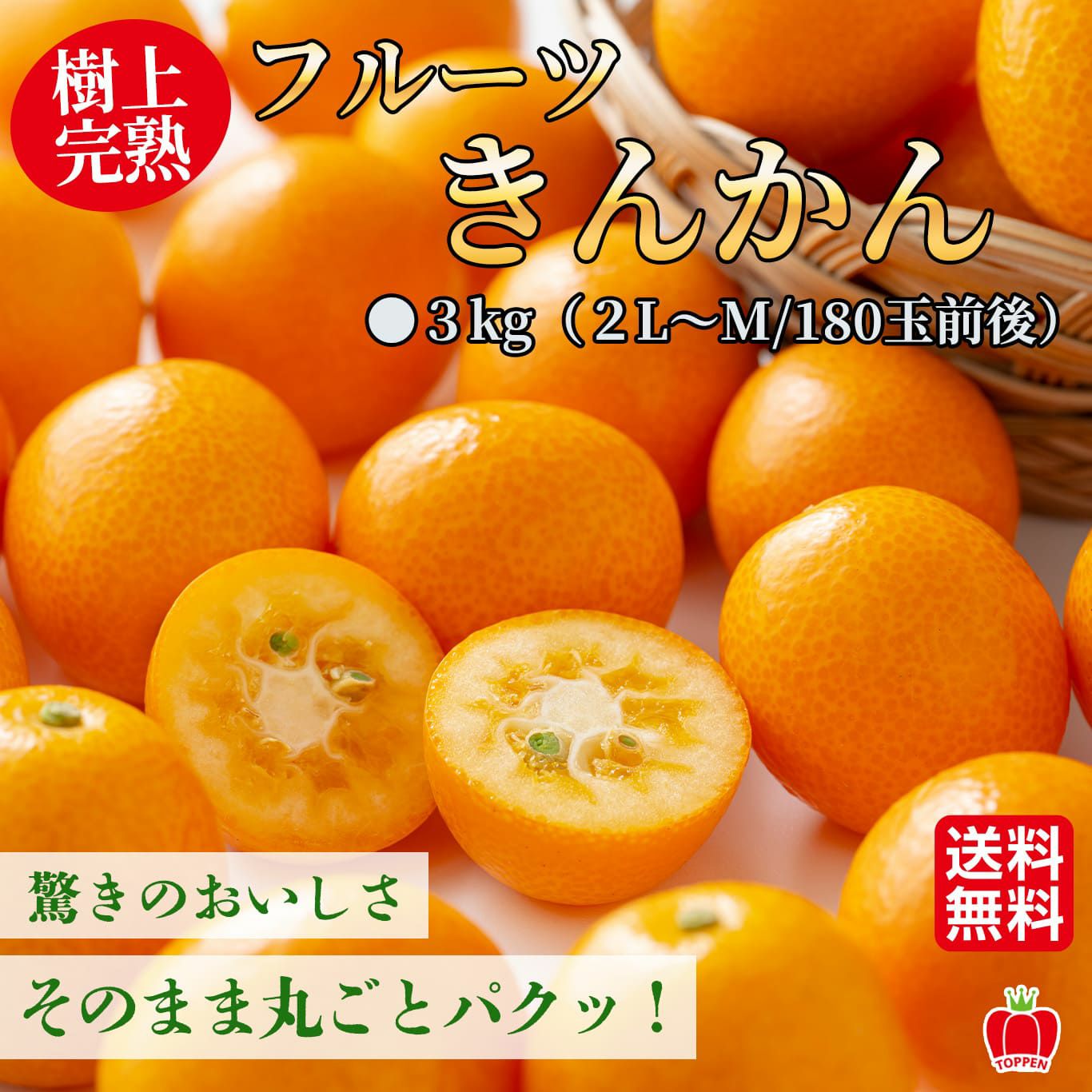 樹上完熟 フルーツきんかん ３kg(２L～M)
