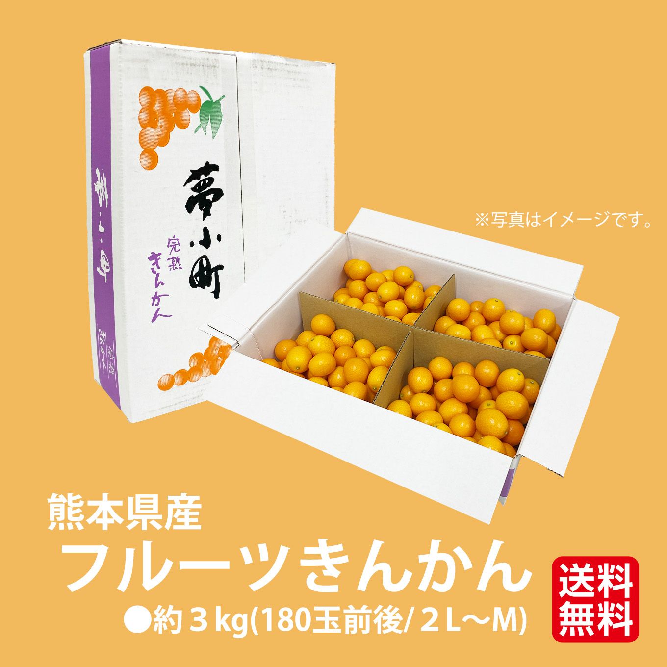 樹上完熟 フルーツきんかん ３kg(２L～M)