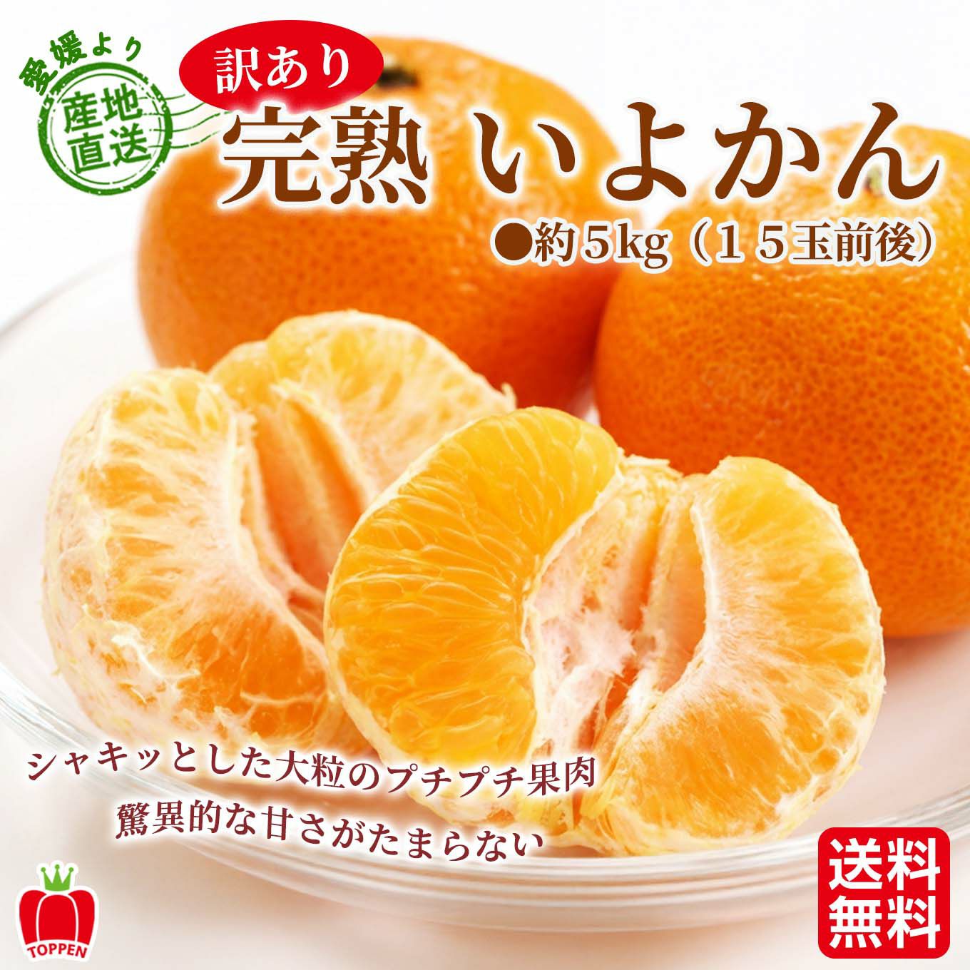 愛媛県産直　訳あり 完熟いよかん　５kg（１５玉前後）【送料無料】