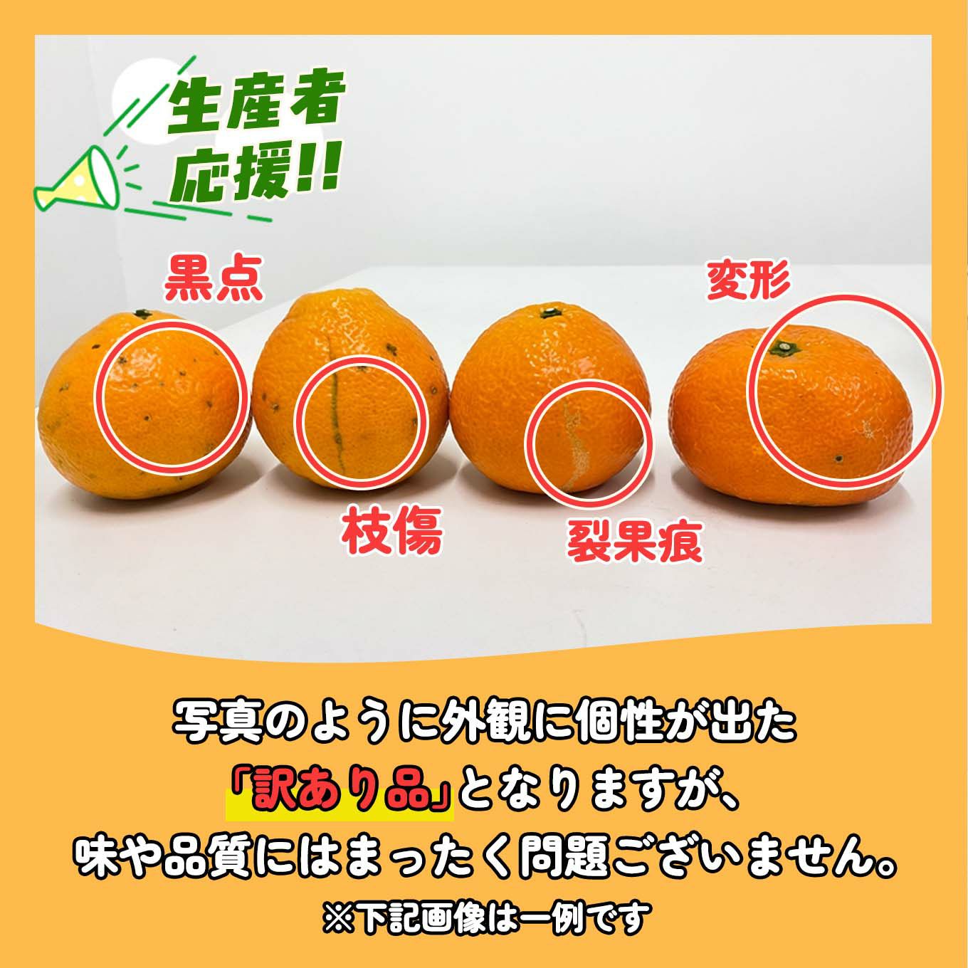 愛媛県産直　訳あり 完熟いよかん　５kg（１５玉前後）【送料無料】