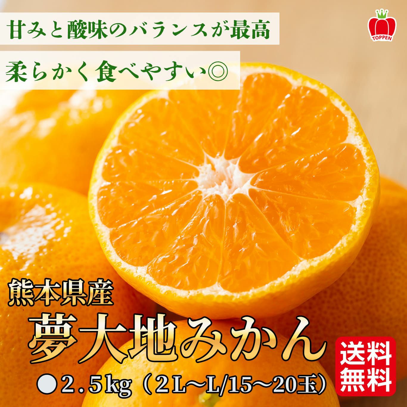 高糖度「夢大地みかん」２.５kg（15～20玉／２L～Lサイズ）【送料無料】