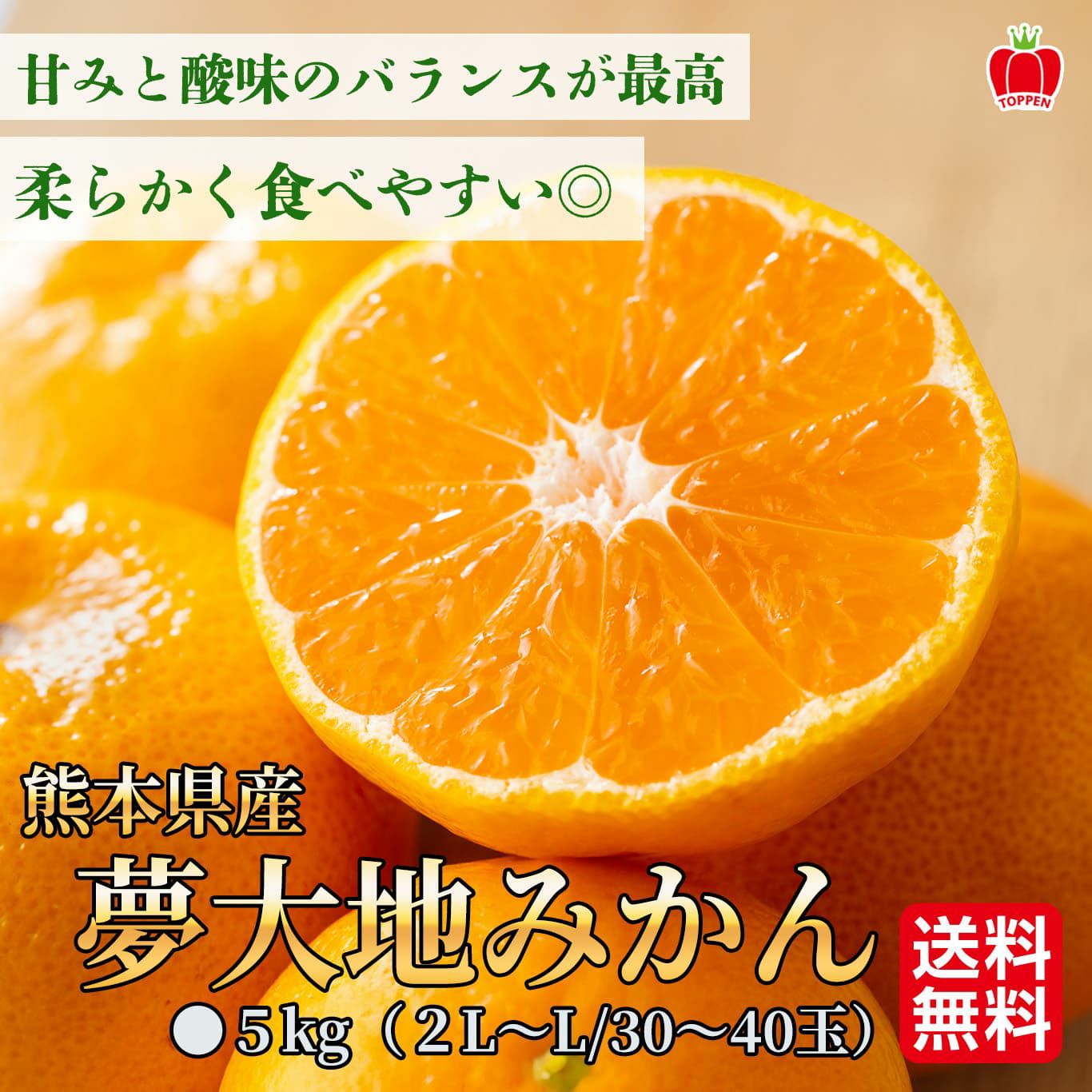 高糖度「夢大地みかん」５kg（30～40玉／２L～Lサイズ）【送料無料】
