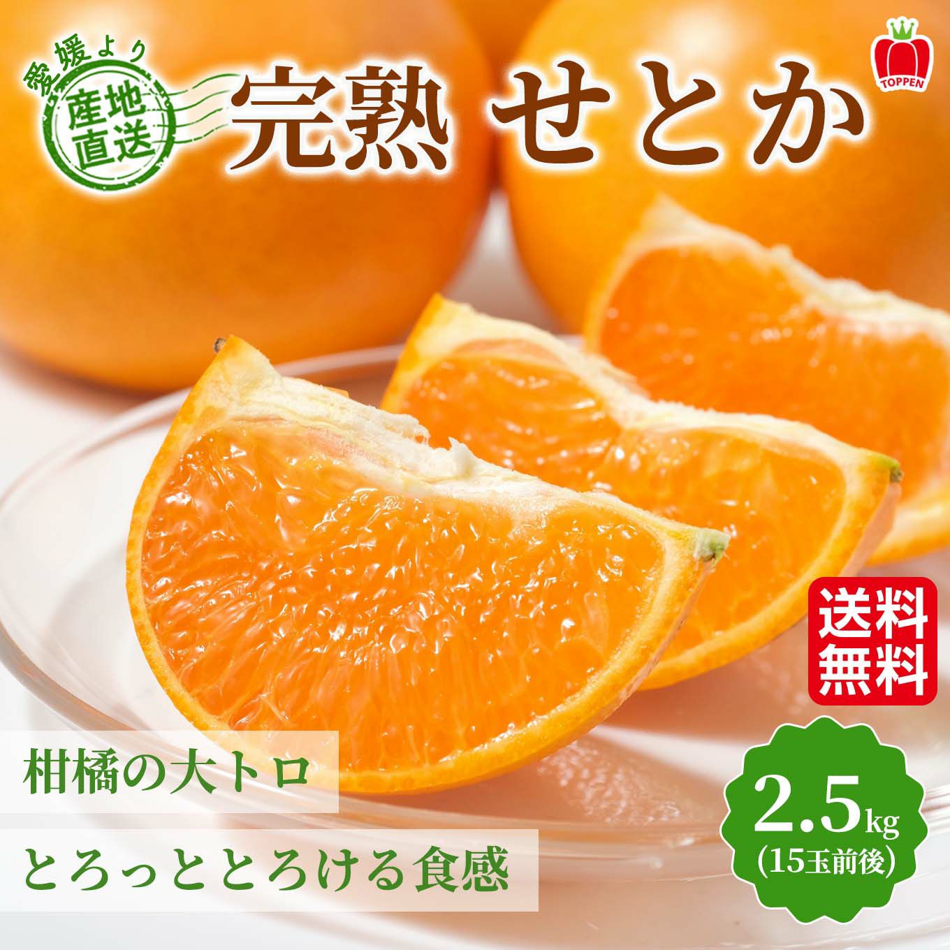 愛媛県産直　完熟 せとか 2.5kg（15玉前後）【送料無料】